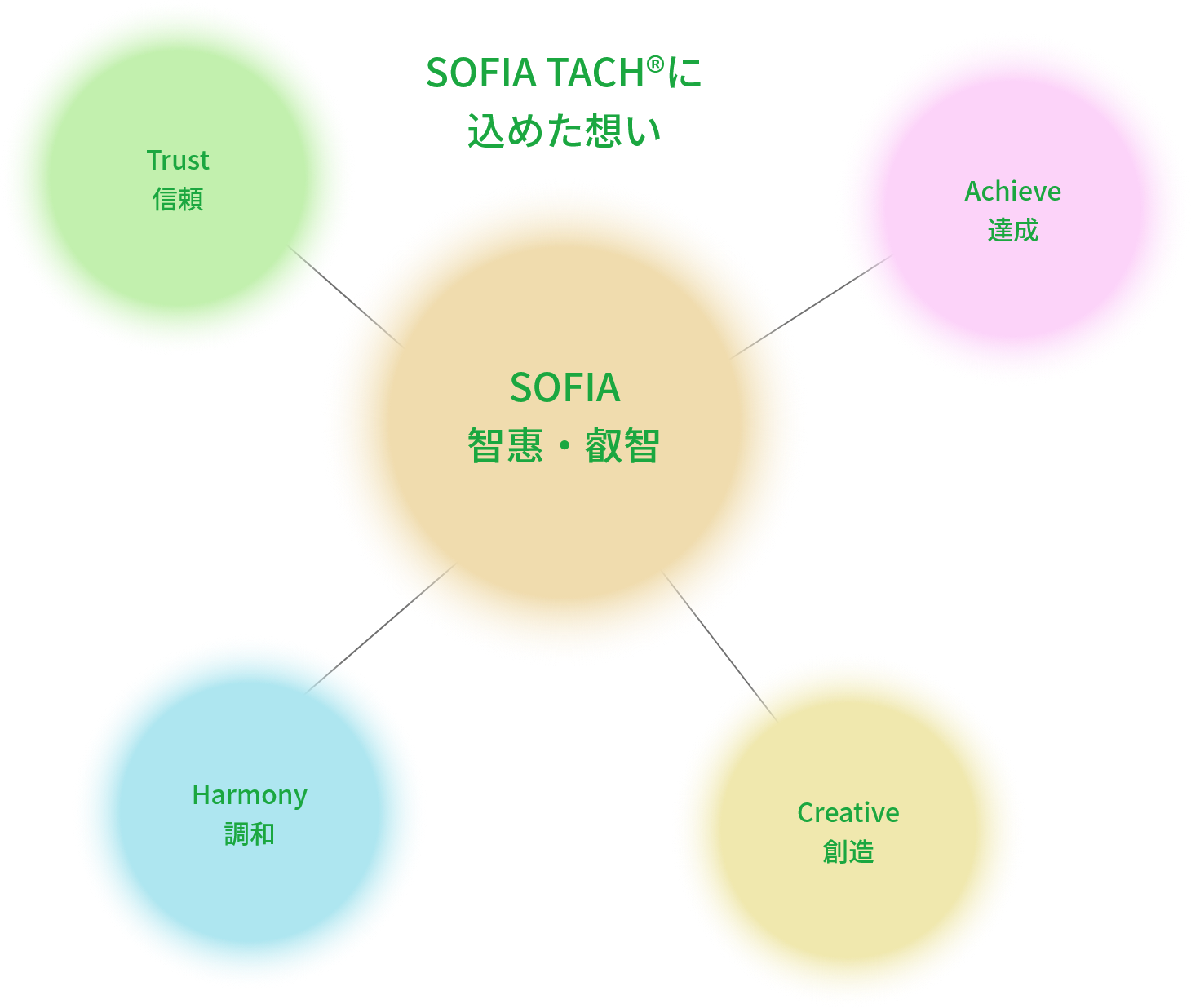 SOFIA TACH®に込めた想い
